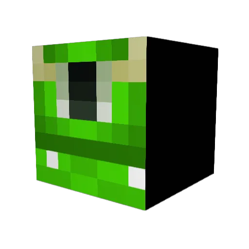 FinnAgain85 Minecraft avatar head, 3D render