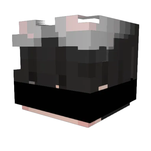 FinnArlo Minecraft avatar head, 3D render