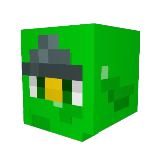 FinnElin Minecraft avatar head, 3D render