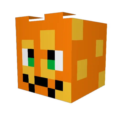 FinnFightersPXA Minecraft avatar head, 3D render