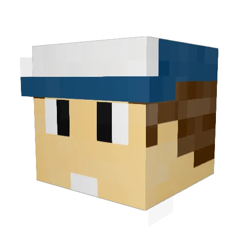 FinnJake301 Minecraft avatar head, 3D render