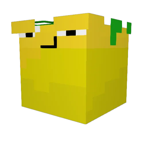 FinnM2013 Minecraft avatar head, 3D render