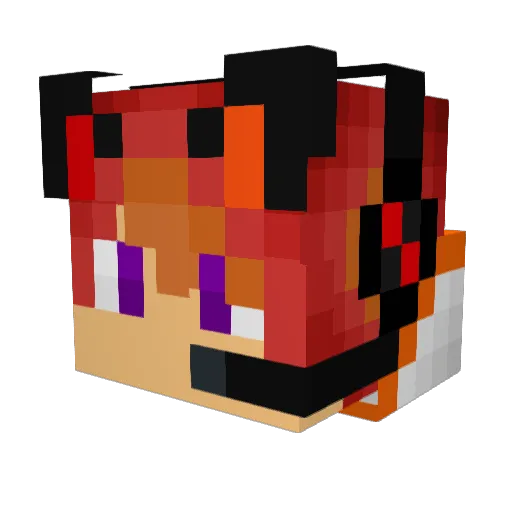 FinnMarius41 Minecraft avatar head, 3D render