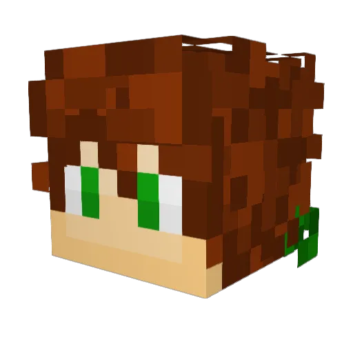 FinnMcCoul Minecraft avatar head, 3D render
