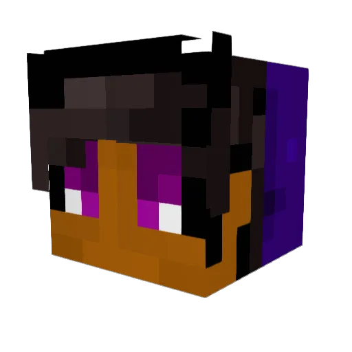 FinnTROP Minecraft avatar head, 3D render
