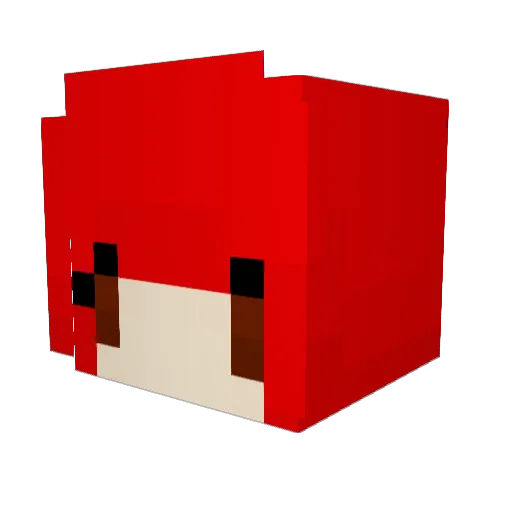 FinnTheLoser Minecraft avatar head, 3D render