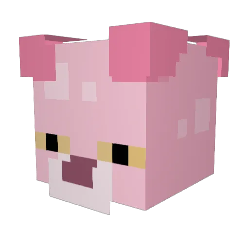 FinnWasNot Minecraft avatar head, 3D render