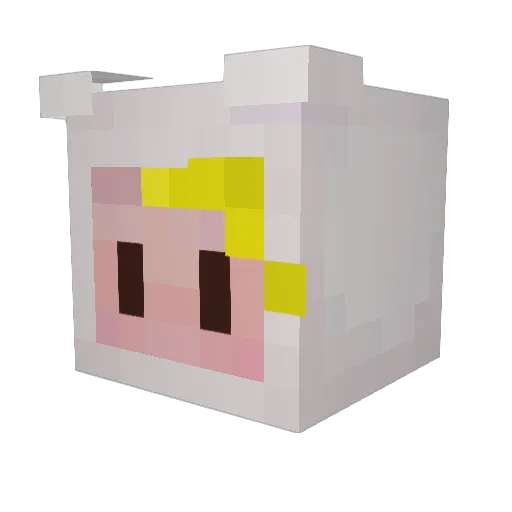 Finn_C_Mertens Minecraft avatar head, 3D render