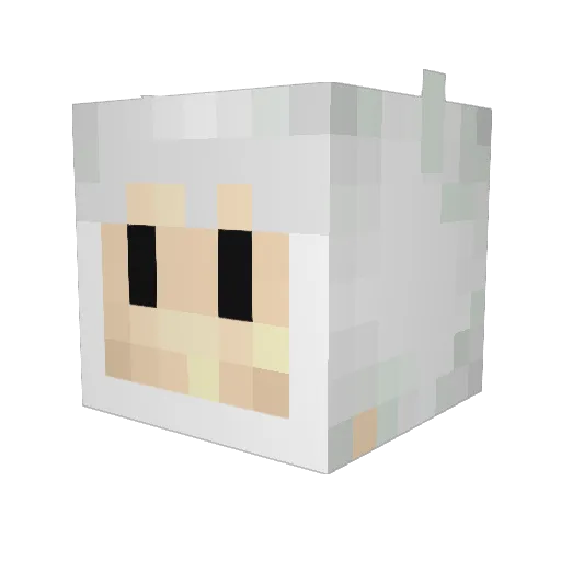 Finn_Case Minecraft avatar head, 3D render