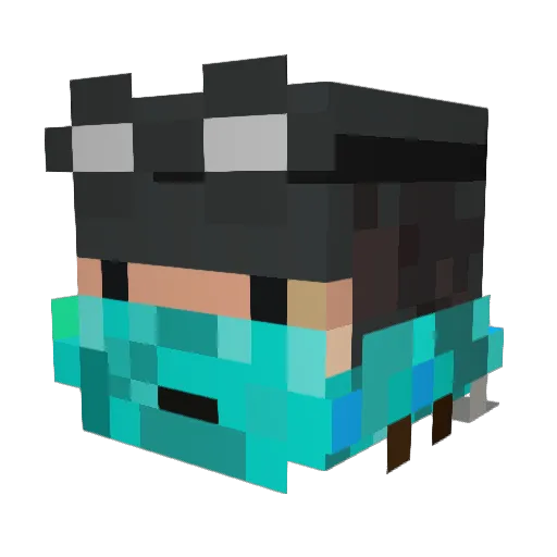 Finn_Clarke Minecraft avatar head, 3D render