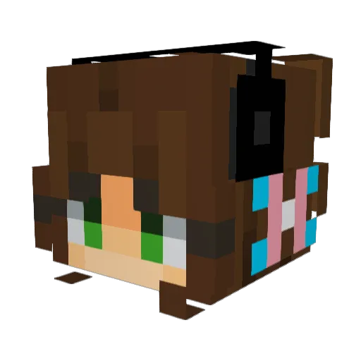Finn_Fungus Minecraft avatar head, 3D render