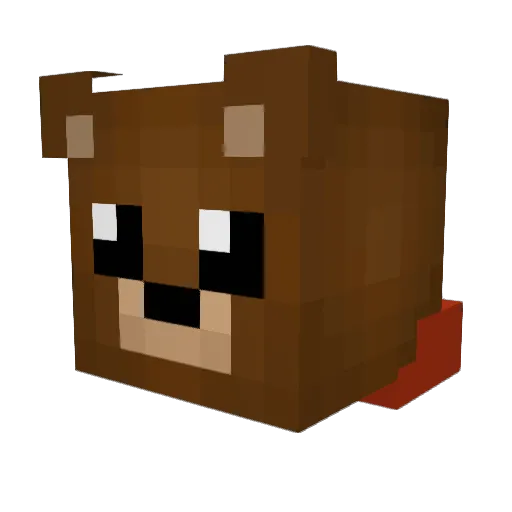 Finn_Returns Minecraft avatar head, 3D render