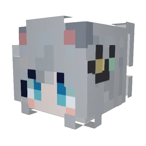 Finn_Sky Minecraft avatar head, 3D render