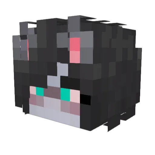 Finn_The_Cat Minecraft avatar head, 3D render