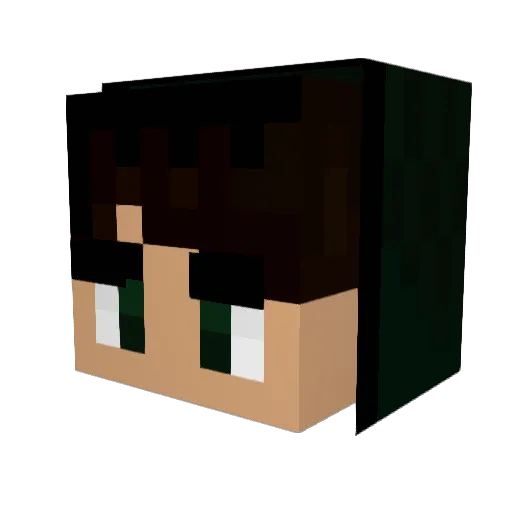 Finn_Voort Minecraft avatar head, 3D render