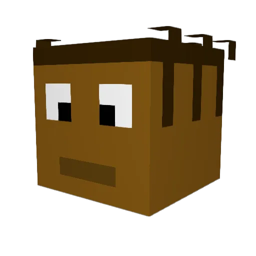 FinnaWad Minecraft avatar head, 3D render