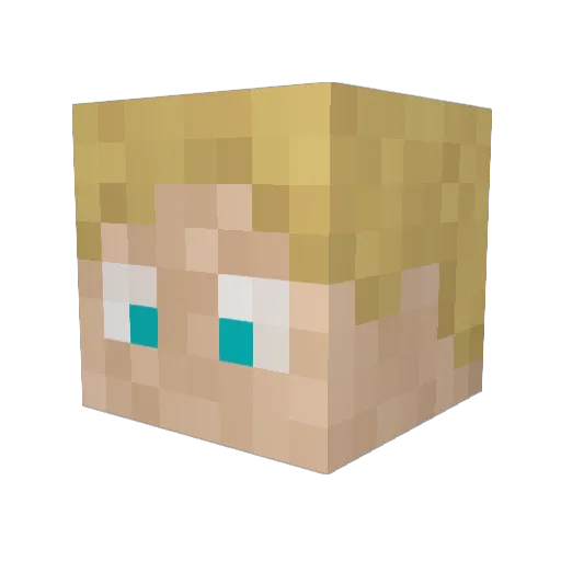 Finnbear02 Minecraft avatar head, 3D render