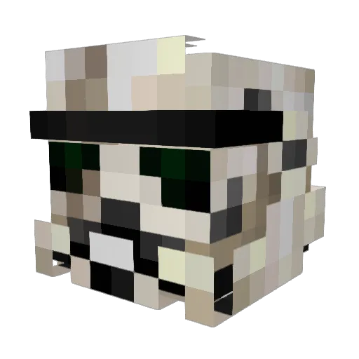 Finnday12 Minecraft avatar head, 3D render