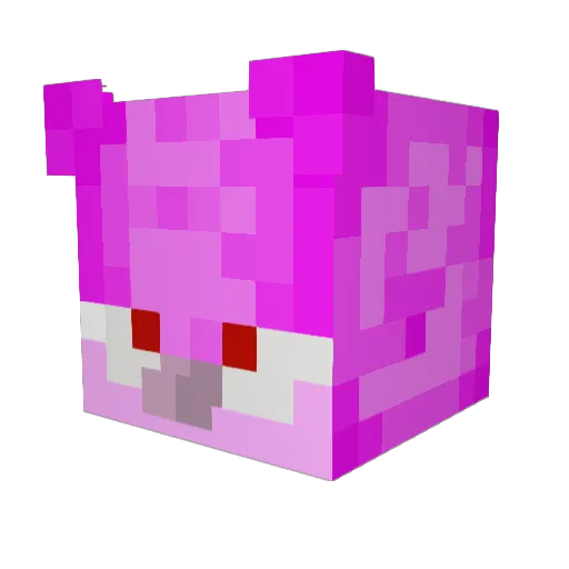 FinnderGnaden Minecraft avatar head, 3D render