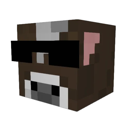 Finndoggod Minecraft avatar head, 3D render