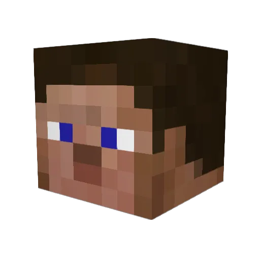 Finndus42 Minecraft avatar head, 3D render