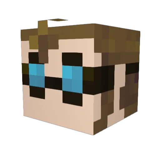 FinnegansWake Minecraft avatar head, 3D render