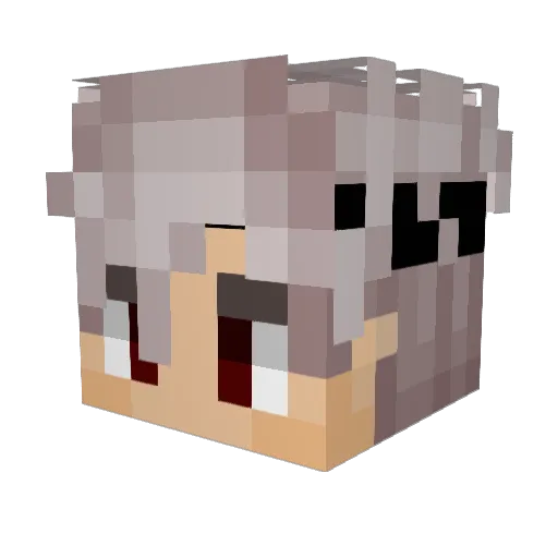 Finnesed Minecraft avatar head, 3D render