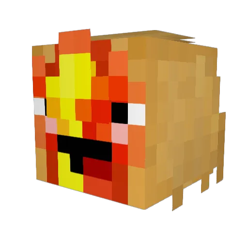 FinneyFinFin Minecraft avatar head, 3D render