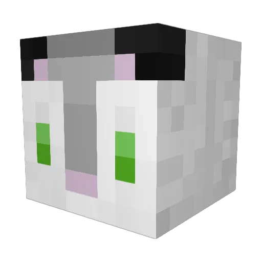 Finngiant Minecraft avatar head, 3D render