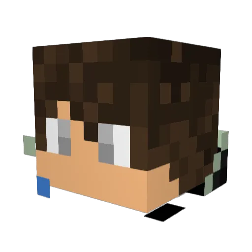 Finnhooo Minecraft avatar head, 3D render