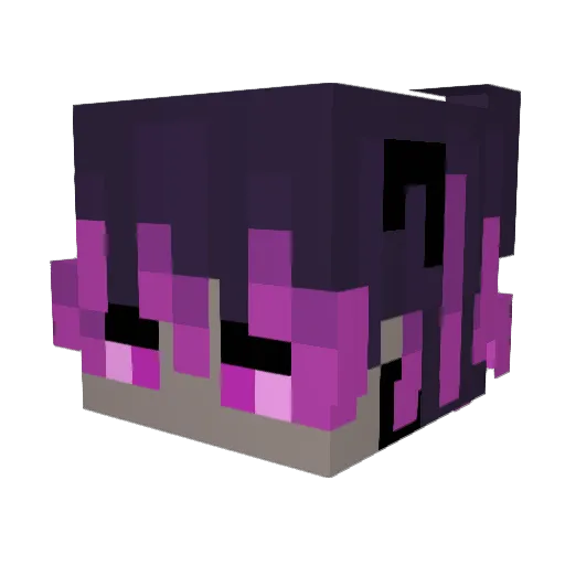 Finni9532 Minecraft avatar head, 3D render