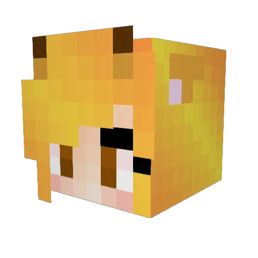 Finnick_D4 Minecraft avatar head, 3D render