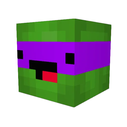 Finniemccool Minecraft avatar head, 3D render