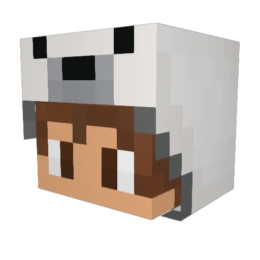 Finniiboy Minecraft avatar head, 3D render