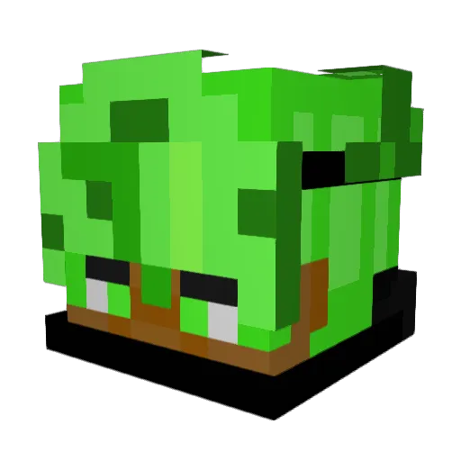 Finnisswagbtw Minecraft avatar head, 3D render