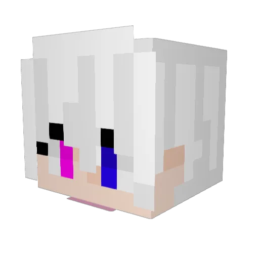 Finnite11 Minecraft avatar head, 3D render