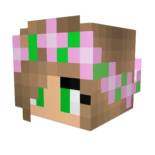 Finnix Minecraft avatar head, 3D render