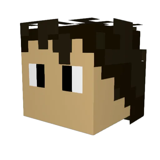 Finnley_Curtis Minecraft avatar head, 3D render