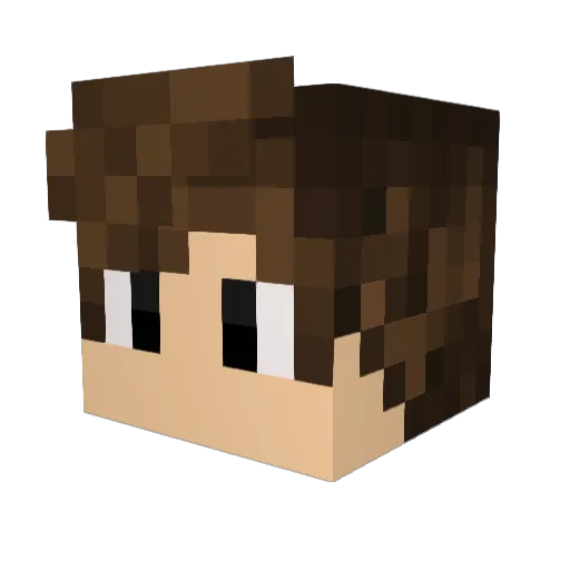 Finnny_Boi Minecraft avatar head, 3D render