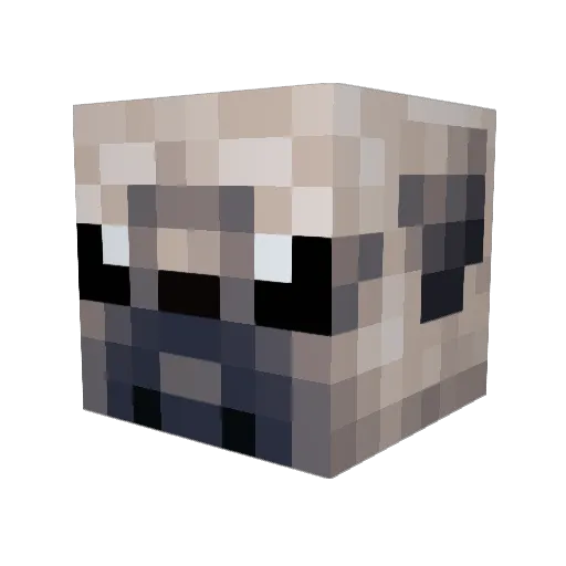 FinnnyyG Minecraft avatar head, 3D render