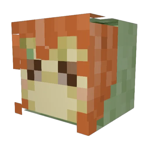 FinnsMistakes Minecraft avatar head, 3D render