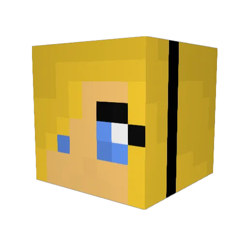 Finns_adventure Minecraft avatar head, 3D render