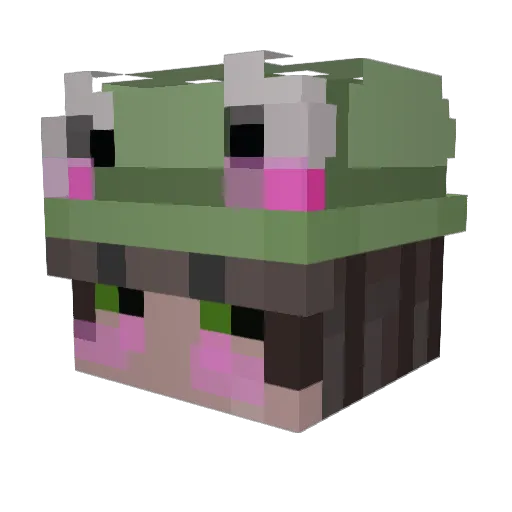 FinntheWaffle Minecraft avatar head, 3D render