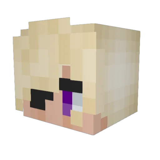Finnusthegreat06 Minecraft avatar head, 3D render