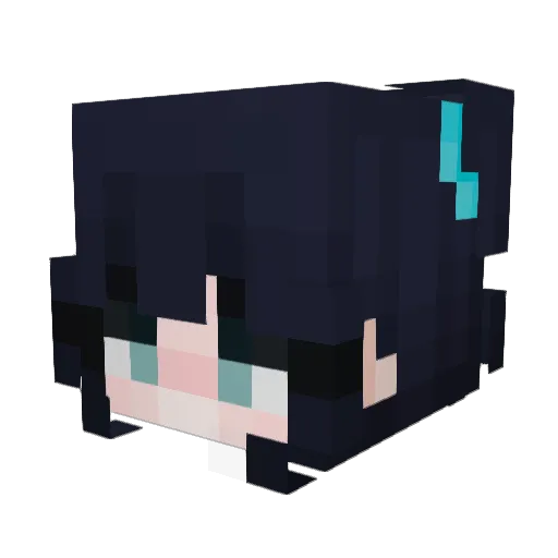 Finny4562 Minecraft avatar head, 3D render