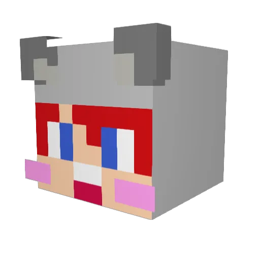 FinnyBoy2014 Minecraft avatar head, 3D render