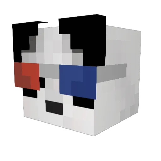 FinnyPrince Minecraft avatar head, 3D render