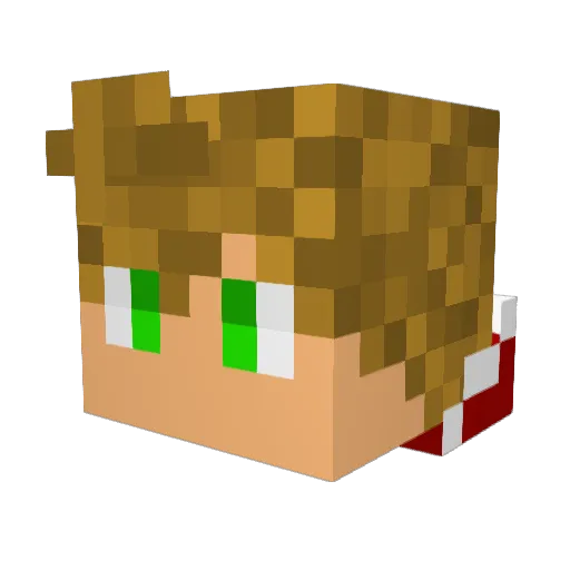 Finnyboy2 Minecraft avatar head, 3D render