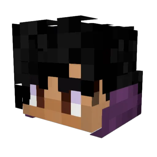 FinthyFinFlawed Minecraft avatar head, 3D render