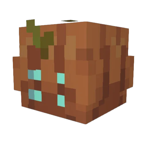 FintrisOrchid Minecraft avatar head, 3D render